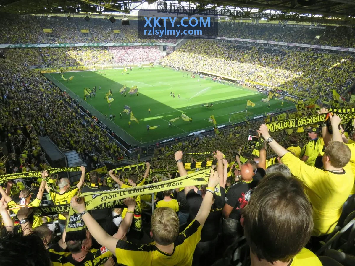 XKTY.COM 峰会现场签到区与主论坛画面