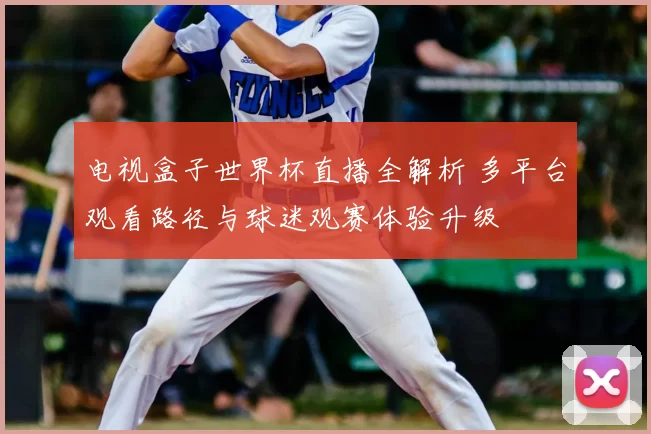 电视盒子世界杯直播全解析 多平台观看路径与球迷观赛体验升级
