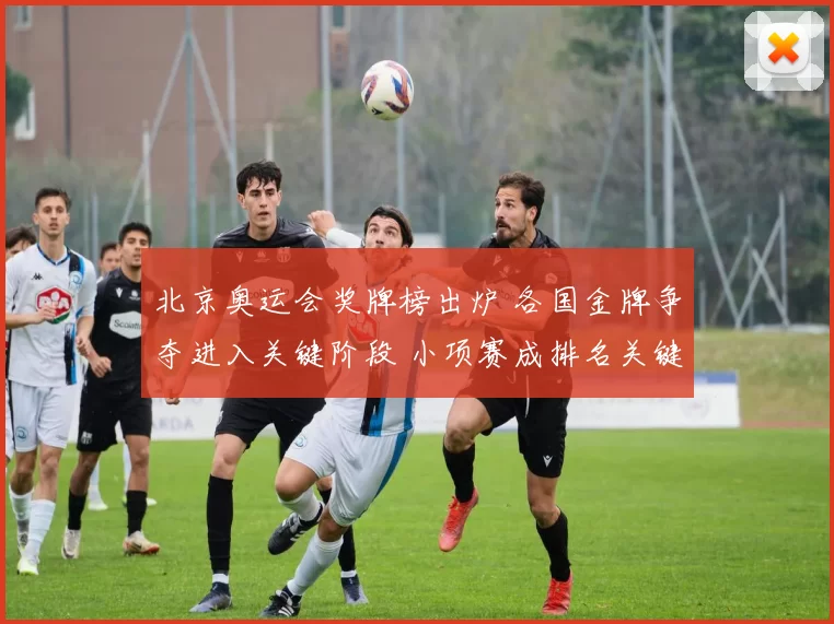 北京奥运会奖牌榜出炉 各国金牌争夺进入关键阶段 小项赛成排名关键