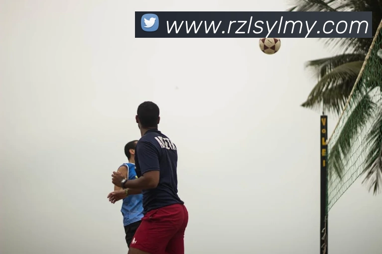 星空体育在线官网入口平台生态图