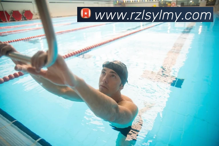 星空体育在线官网入口APP 封面图